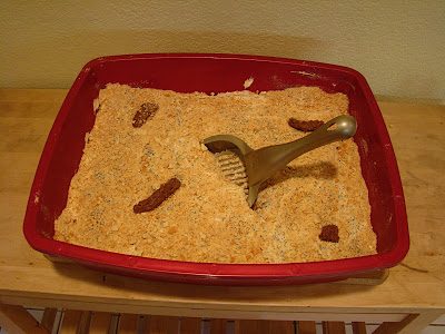 Cat Litter Cake Cat Litter Cake