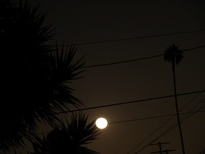 Pic of the Day: Full moon Pic of the Day: Full moon
