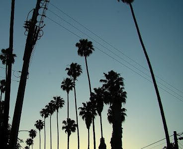 Pic of the Day: Skyward Pic of the Day: Skyward