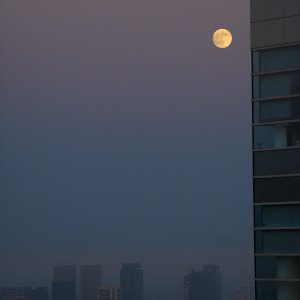 Pic of the Day: LA Moonscape