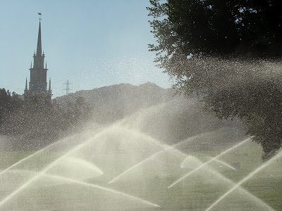 Pic of the Day: Holy water