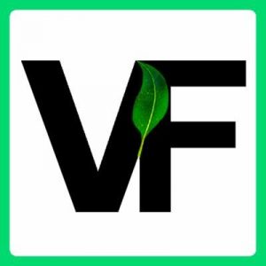veggiefacs-logo