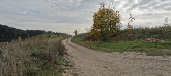 Transition materials now translated to Russian